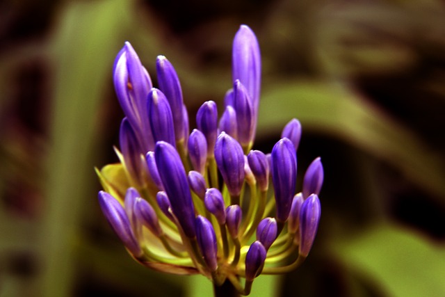 它背后是库 它背后是库