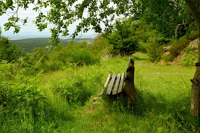 建立更强大 建立更强大