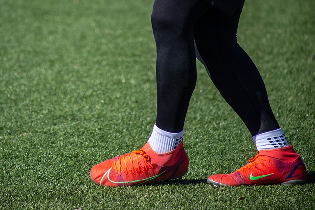 特别是在主 特别是在主