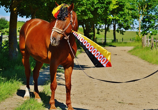 协作和经验 协作和经验