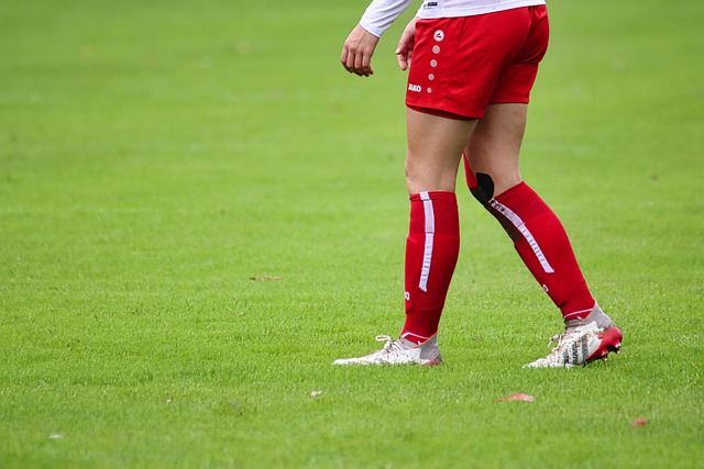 他从小展现 他从小展现