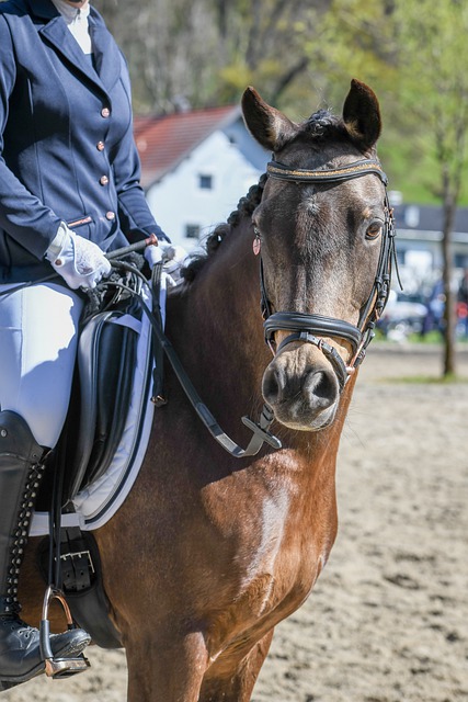 本次比赛中 本次比赛中